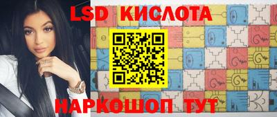дмт Краснодар