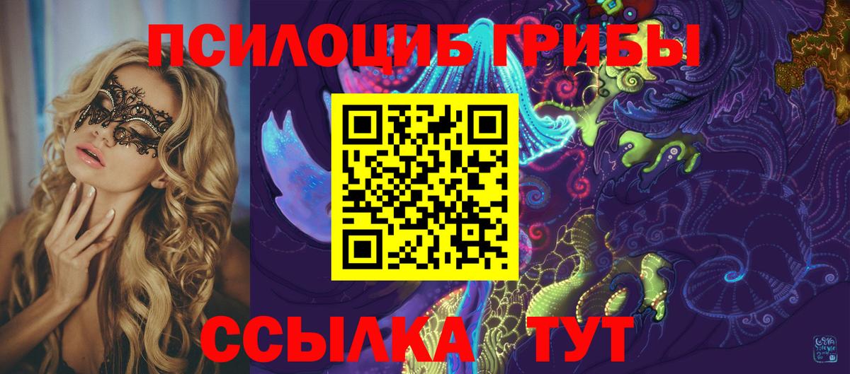 Псилоцибиновые грибы Psilocybine cubensis  Вход с VPN  Коркино 